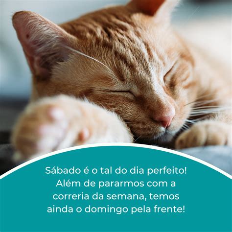 40 mensagens de feliz sábado para animar o nosso fim de semana