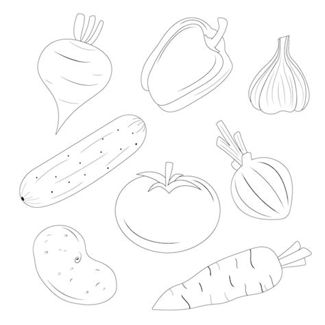 Dibujos De Alimentos Vegetales Para Colorear Vsun