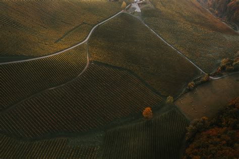 De Ried Sulz Weisser Burgunder Magnum Stk S Dsteiermark Dac