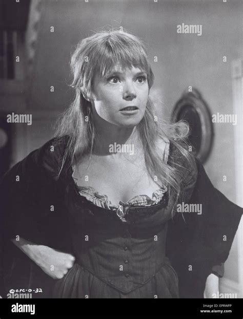 Shani Wallis Hi Res Stock Photography And Images Alamy