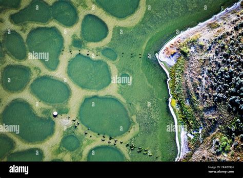 Aerial image of Spotted Lake, BC, Canada Stock Photo - Alamy