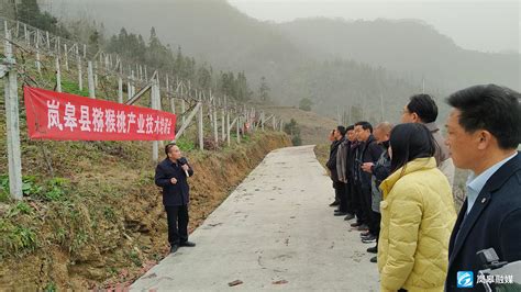 八项行动”进行时·产业延链补链强链】岚皋扎实开展猕猴桃春管工作 岚皋县人民政府