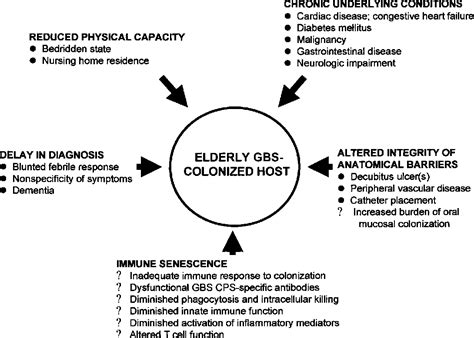 Figure 1 from Group B streptococcal infections in elderly adults ...