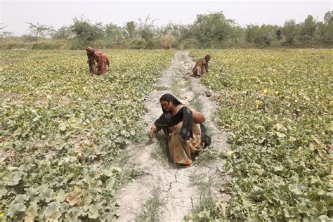 Climate Change Impacts Women More We Must Legislate To Protect Their