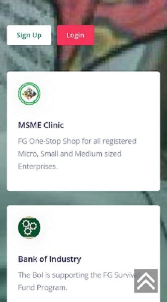 How To Apply For Fg S N Billion Msme Survival Fund For Small Businesses