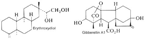 Diterpenes | Cyberlipid