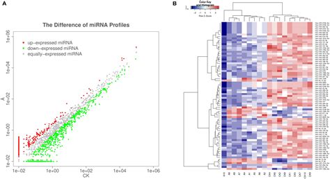 Frontiers Maternal Circulating Exosomal MiRNAs As Non Invasive