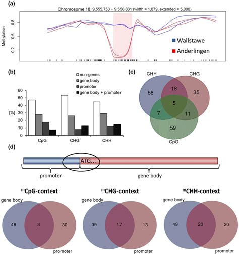 Differentially Methylated Regions Dmrs And Methylation Context