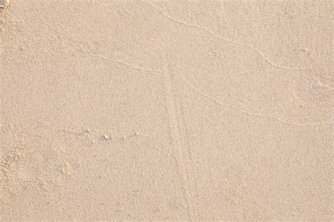 Premium Photo Clear Sand Background Texture