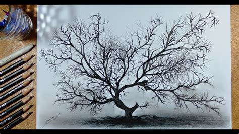 How To Draw Creepy Tree Halloween In Charcoal Pencil Jamesart 🎃🕷️