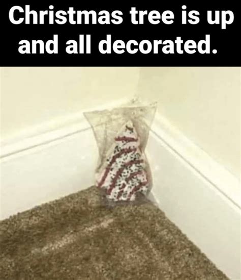 Hilariously Festive Christmas Tree Memes Ranging From Festive To