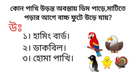 সাধারণ জ্ঞান প্রশ্ন ও উত্তর General Knowledge Questions And Answers