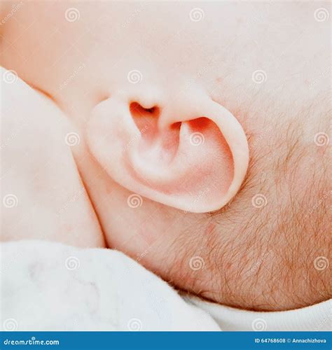 Small Delicate Little Ear of Newborn Stock Photo - Image of skin, peace
