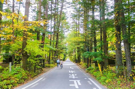 【輕井澤旅遊2023最強導覽】景點介紹‧美食餐廳‧購物名產‧一日遊行程‧交通方式｜lazy Japan 懶遊日本