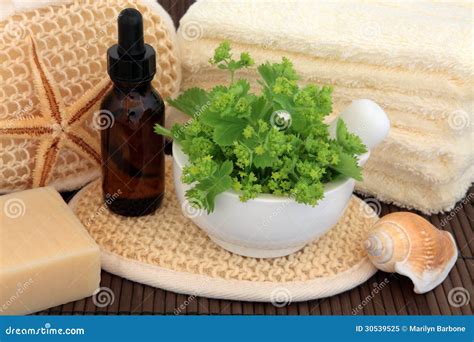 Herbal Spa Treatment Stock Image Image Of Purity Natural 30539525