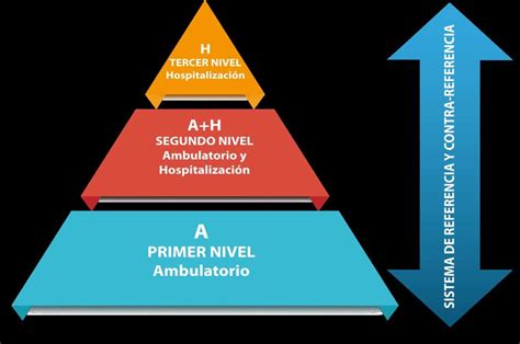 Piramide De Atencion En Salud Vzla