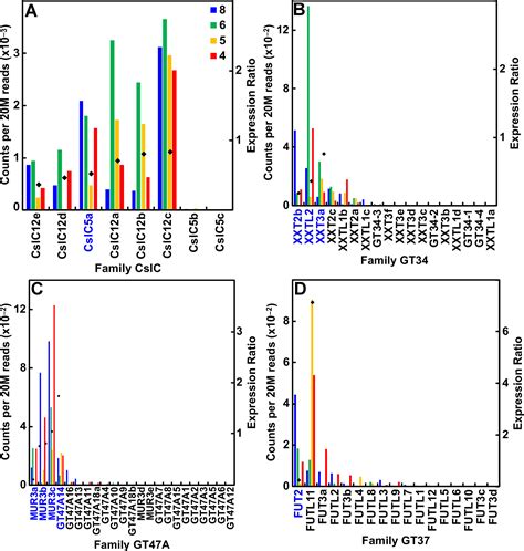 Frontiers Evolution Of The Cell Wall Gene Families Of Grasses