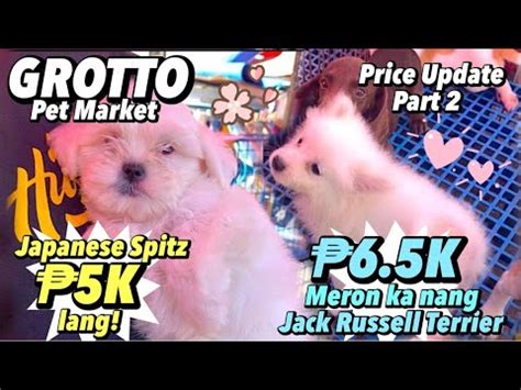 Grotto Pet Market Part 2 January 29 2023 San Jose Del Monte