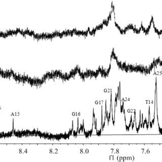 H Nmr Spectras Of C Myc G Dna In And Titration Experiments