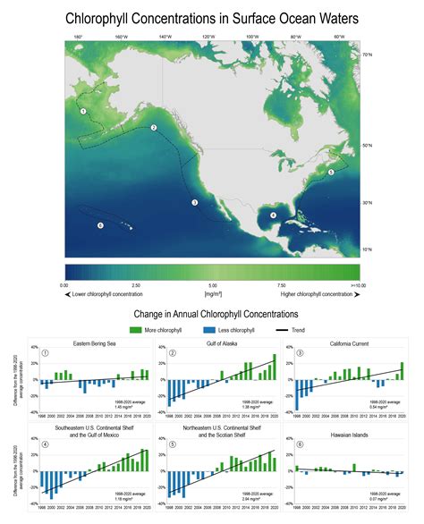 Ocean Chlorophyll Concentrations