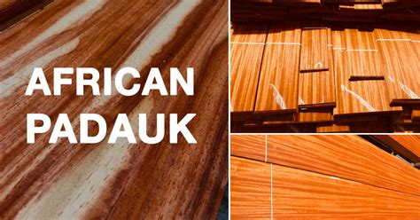 AFRICAN PADAUK - Ferraro Wood Specialist