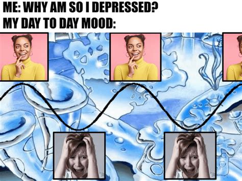 bipolar depression rdistressingmemes
