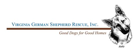 American German Shepherd Rescue Association