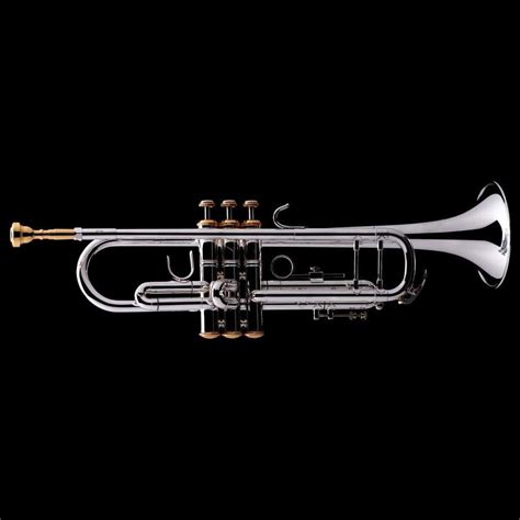 Trumpets and Cornets | Quality Brass Instruments | Wessex Tubas