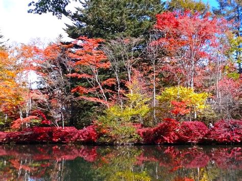 【軽井沢】雲場池の紅葉情報 紅葉シーズンの交通規制＆往復シャトルバス（軽井沢駅～六本辻・雲場池） 軽井沢ブログ カントリージェントルマンへの道