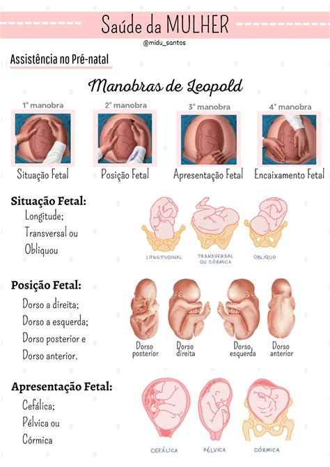 Saúde da Mulher Pré natal Saúde da MULHER Assistência no Pré natal