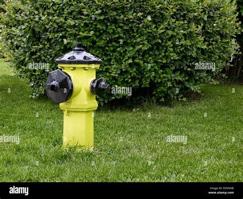 Fire Hydrant Stock Photo Alamy