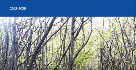 Kosovo Mine Action Strategy 2025-2030 - GICHD