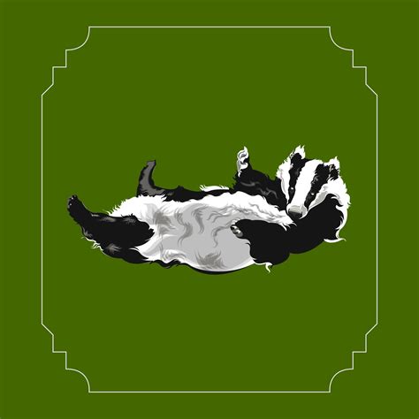 Badger Vector Illustration 14417597 Vector Art at Vecteezy