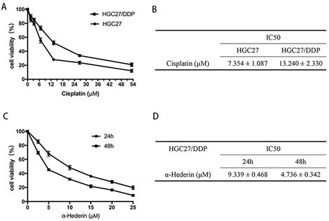 Hederin Increases The Apoptosis Of Cisplatin Resistant Gastric Ott