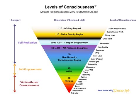 What Are Levels of Consciousness? – Manvir Dhinse