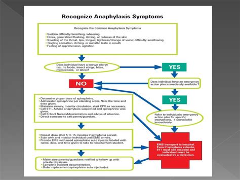 Anaphylaxis Flow Chart