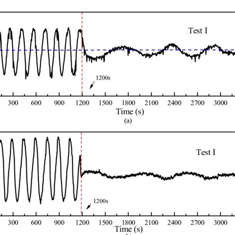 Experimental Results For Test I A Ds B Mass Flow Rate Download Scientific Diagram