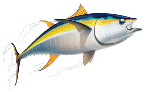 Yellowfin Tuna - Fishmasters.com