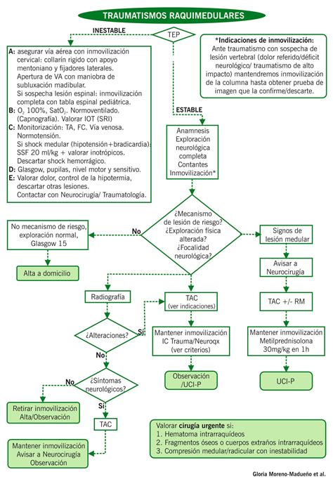 Traumatismo raquimedular Manuales Clínicos