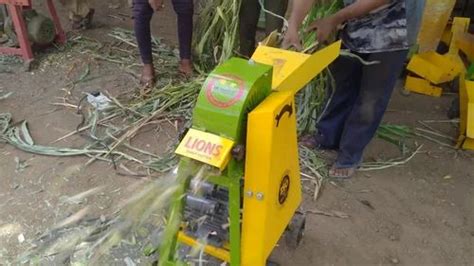 Electric Motor Dry Grass Mini Chaff Cutter For Agriculture 400 600 Kg