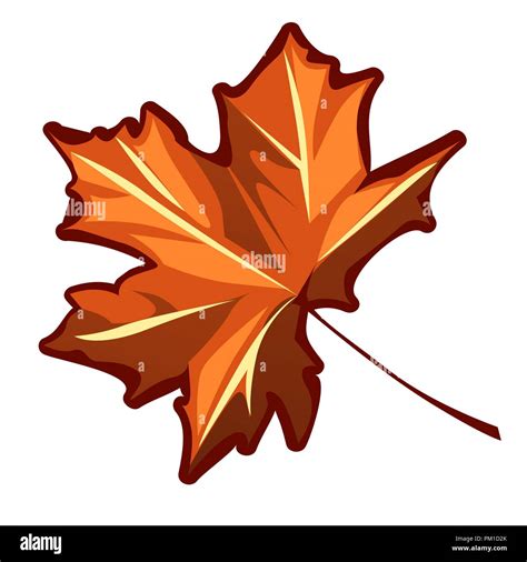 Autumn Maple Leaf Isolated On A White Background Vector Cartoon Close