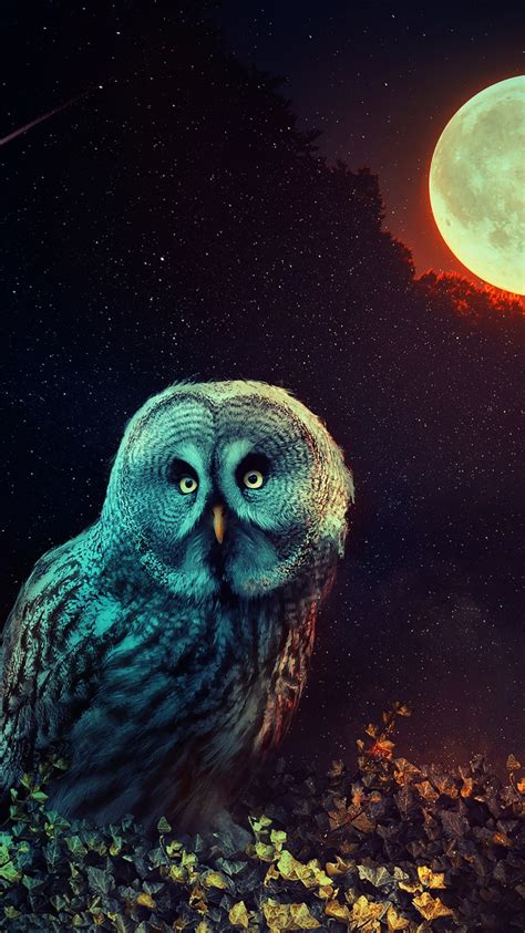 Wallpapers Hd Mystic Owl