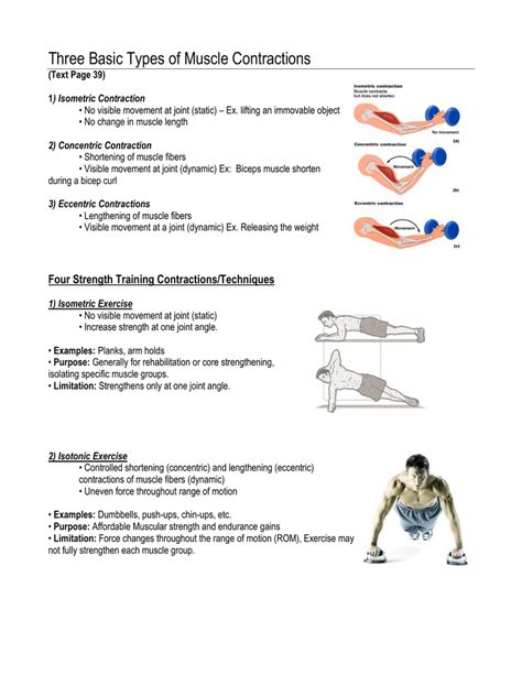 Three Basic Types Of Muscle Contractions