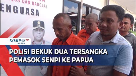 Polisi Bekuk Pelaku Penyelundupan Senpi Ke Papua Rencananya Akan