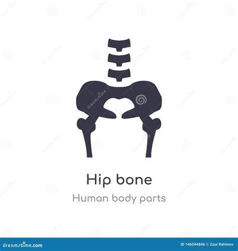 Hip Bone Outline Icon Isolated Line Vector Illustration From Human