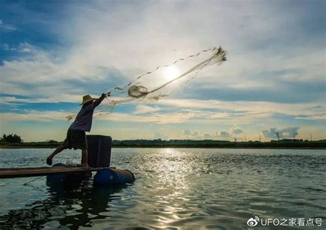 长江神秘物种鳤频现！十年禁渔才两年：成效显著，鱼儿多到水发黑