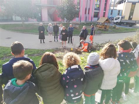 PIANEZZA - Alla primaria «Manzoni» successo per l'iniziativa «Un albero
