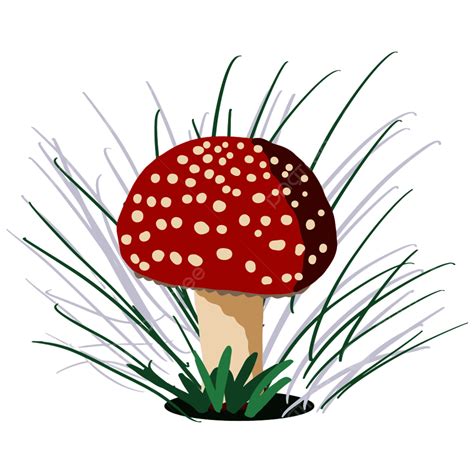 Red Poisonous Mushrooms