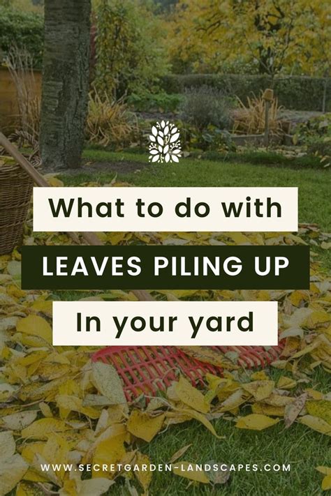 Creative Ways To Repurpose Fall Leaves In Your Yard