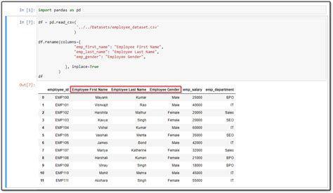 How To Rename Column Name In Pandas DataFrame